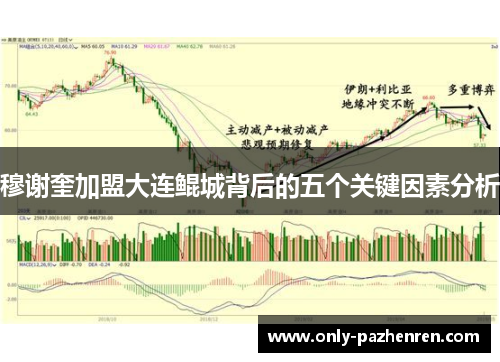 穆谢奎加盟大连鲲城背后的五个关键因素分析 穆谢奎加盟大连鲲城背后的五个关键因素分析