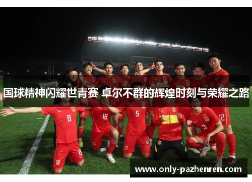 国球精神闪耀世青赛 卓尔不群的辉煌时刻与荣耀之路