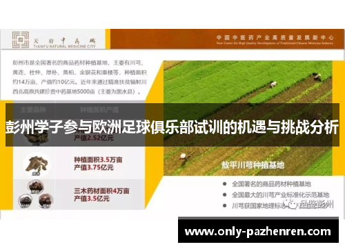 彭州学子参与欧洲足球俱乐部试训的机遇与挑战分析