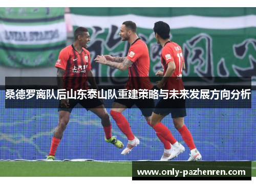 桑德罗离队后山东泰山队重建策略与未来发展方向分析
