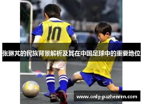 张琳芃的民族背景解析及其在中国足球中的重要地位 张琳芃的民族背景解析及其在中国足球中的重要地位