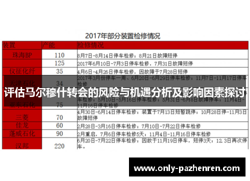 评估马尔穆什转会的风险与机遇分析及影响因素探讨