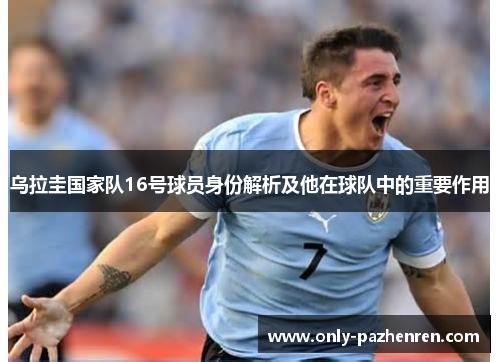 乌拉圭国家队16号球员身份解析及他在球队中的重要作用