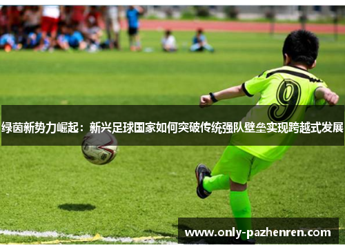 绿茵新势力崛起：新兴足球国家如何突破传统强队壁垒实现跨越式发展