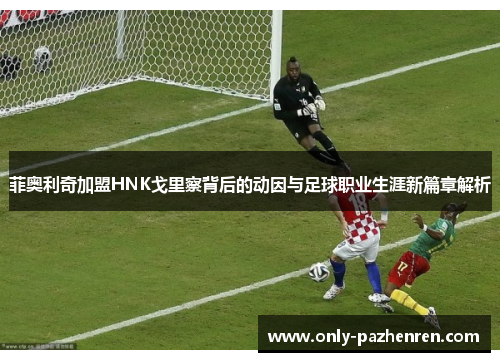 菲奥利奇加盟HNK戈里察背后的动因与足球职业生涯新篇章解析